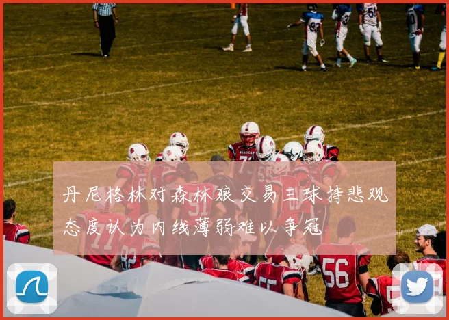 丹尼格林对森林狼交易三球持悲观态度认为内线薄弱难以争冠