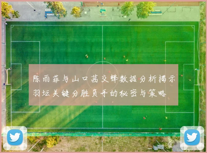 陈雨菲与山口茜交锋数据分析揭示羽坛关键分胜负手的秘密与策略